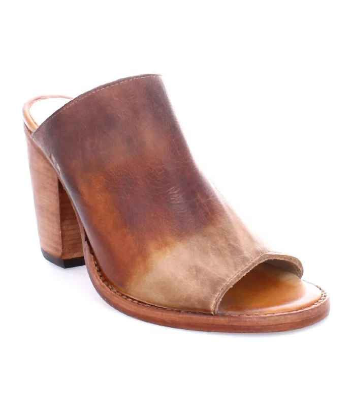 Clavel In Brown